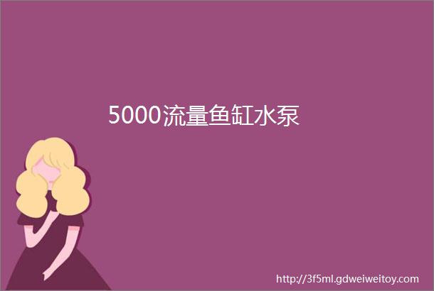 5000流量鱼缸水泵