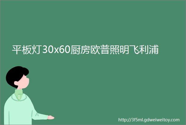 平板灯30x60厨房欧普照明飞利浦