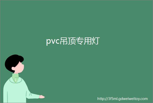 pvc吊顶专用灯