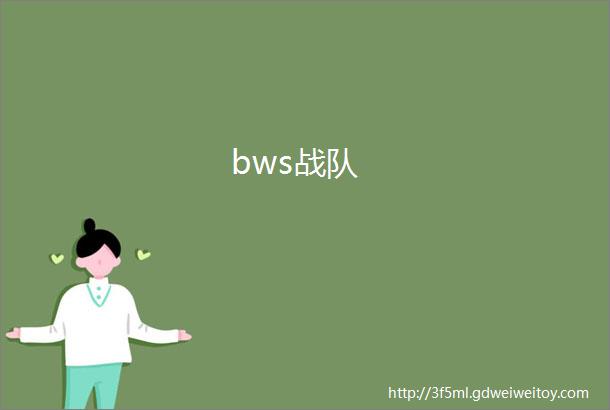 bws战队