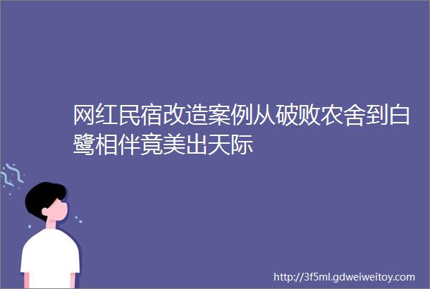 网红民宿改造案例从破败农舍到白鹭相伴竟美出天际