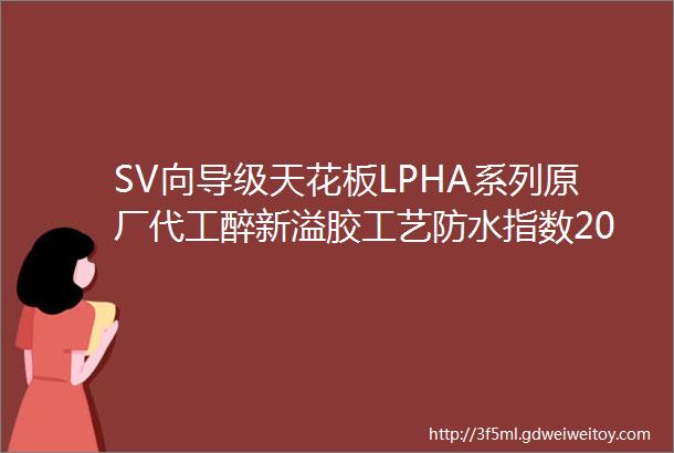 SV向导级天花板LPHA系列原厂代工醉新溢胶工艺防水指数2000内附EPTFE透气膜连帽全压胶滑雪系列冲锋衣