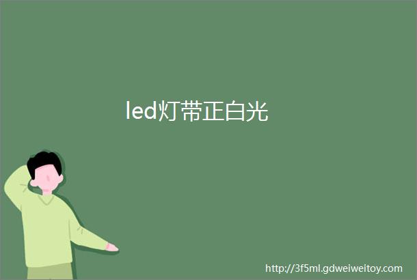 led灯带正白光