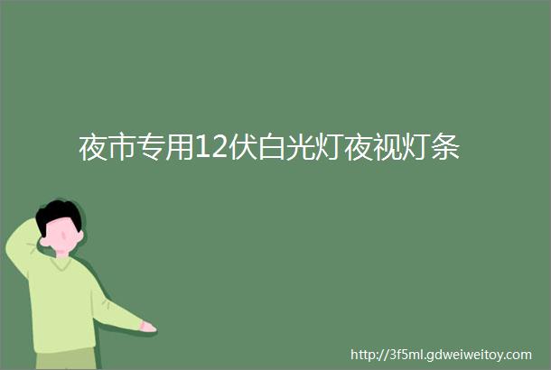 夜市专用12伏白光灯夜视灯条